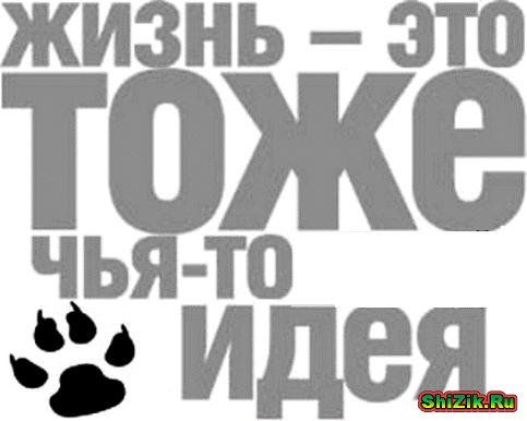 Итоги проверки пользователей