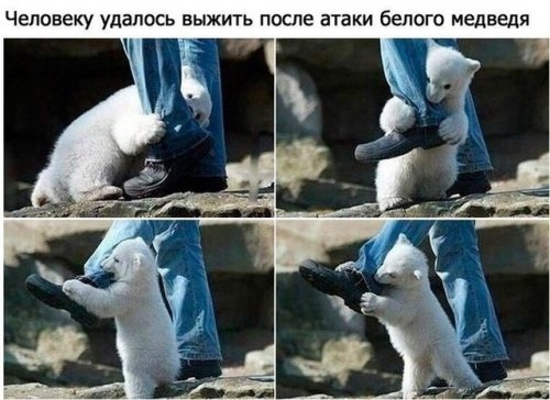 Немного картинок на вечер