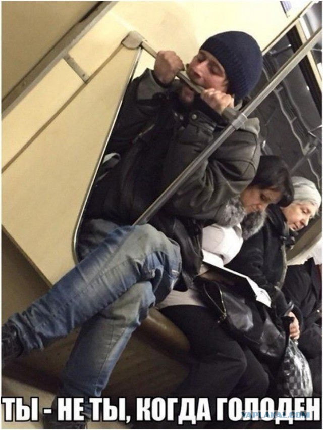 Лента прикольных картинок