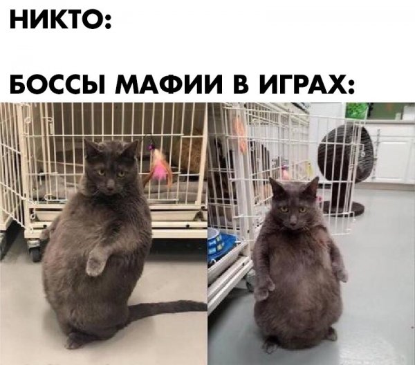 Картинки ни о чем