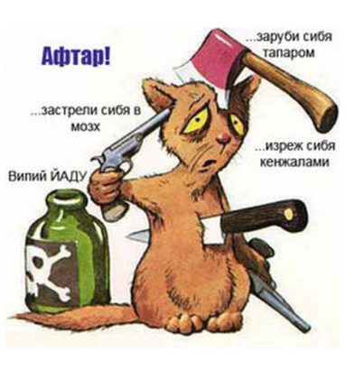 Немного фактов о разных языках мира