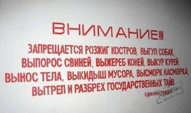 Немного картинок для настроения 06.04.20