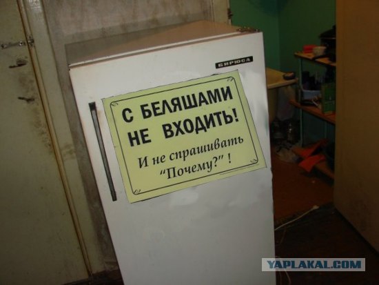 Холодильник в общаге