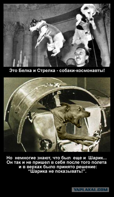 Фотожаба: Хозяин! Ты что делаешь?!