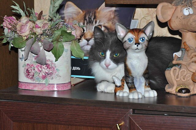 Моя красотка