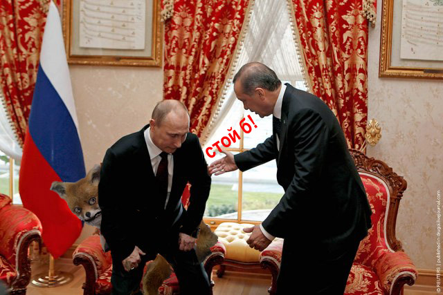 Фотожаба: Эк его раскорячило!
