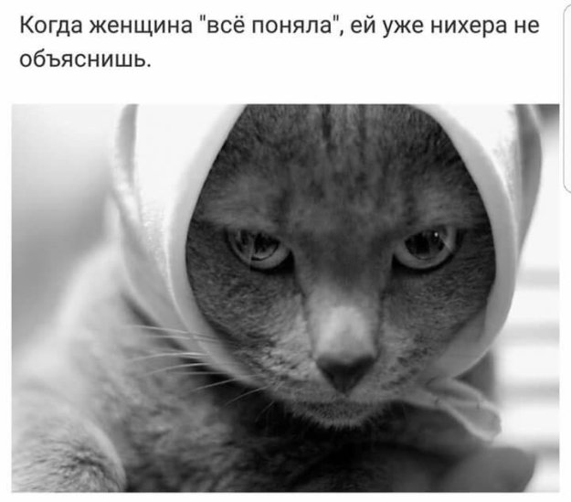 Картинки на 30.12.2021