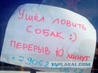 Забавные шутки, фразы, картинки из этих ваших интернетов
