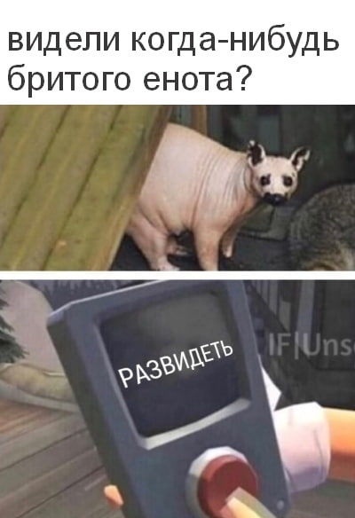 Так себе картинки 18.04.22
