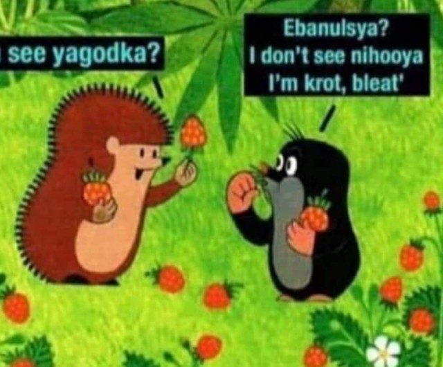 Картинки и мемы для настроения - 21