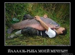 Муж составил список причин, по которым жена отказывала ему в сексе