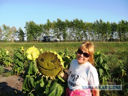 Где бюджетно отдохнуть?