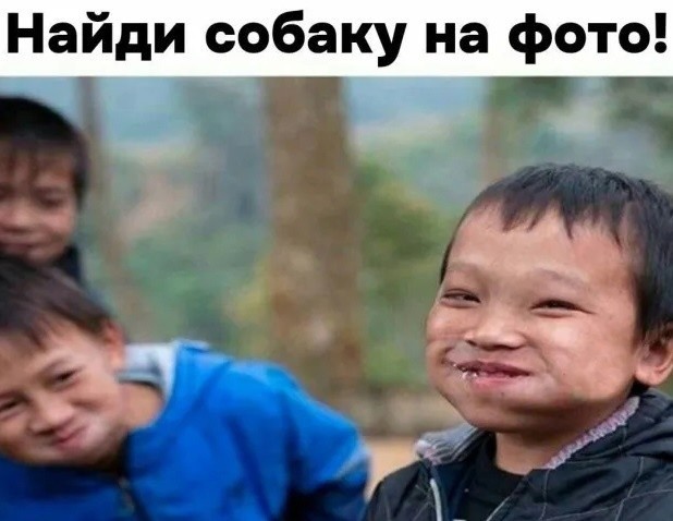 Чёрно-пошлая среда для деградантов