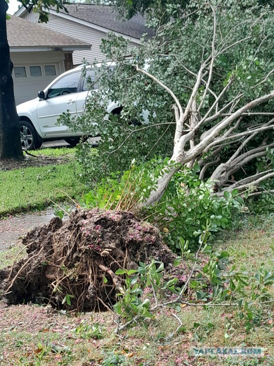 Конкурс «Космические грибы». Итоги