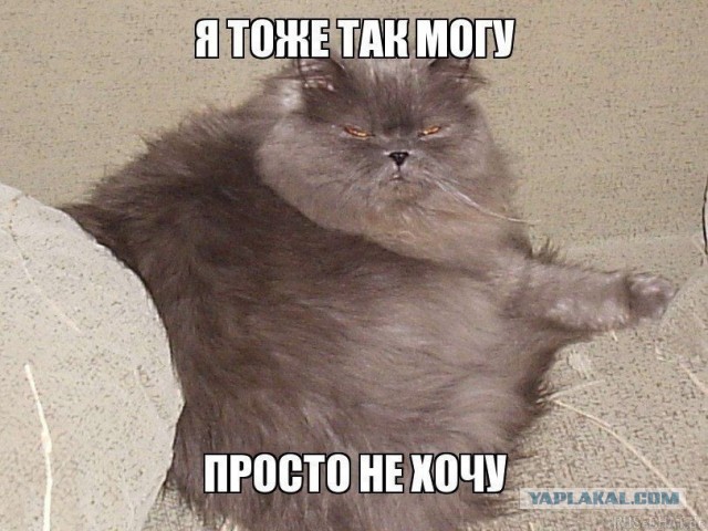 Какое количество отжиманий считается нормой: все зависит от возраста