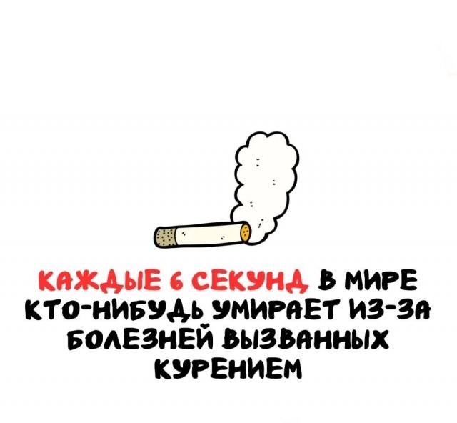 Интересные и короткие факты на все случаи жизни 05.01.26