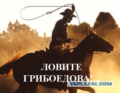 Цензор, год 2015...