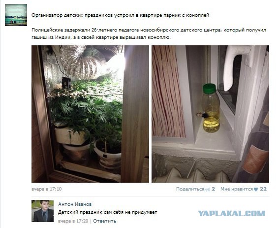 Смешные комментарии 18+ (15 фото)
