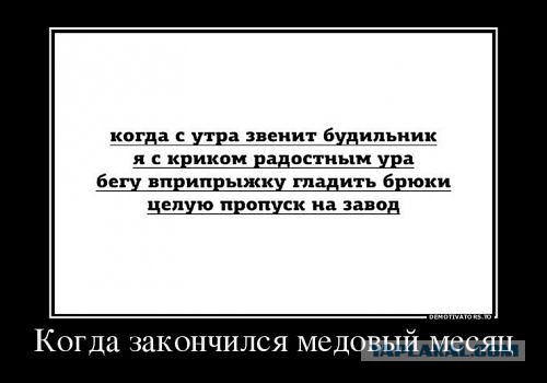 Весёлое из сети