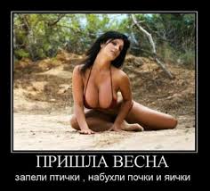 Скоро на наших улицах