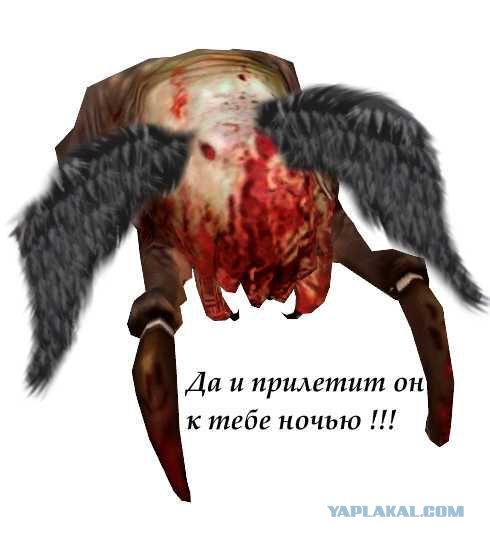 Эскадрилья