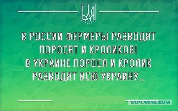 Яценюк: украинцы в 2016 ощутят результаты реформ