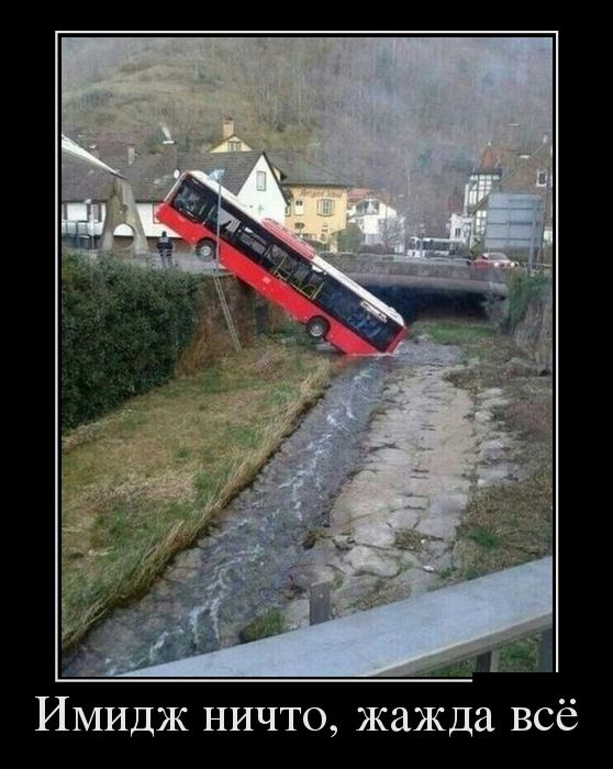 Забавные картинки из Сети