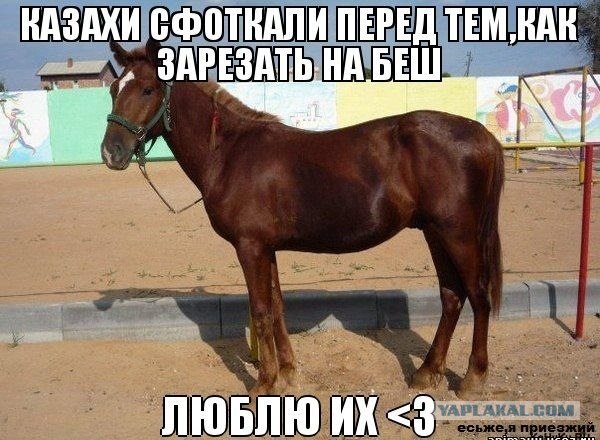 Cфотал пока спала