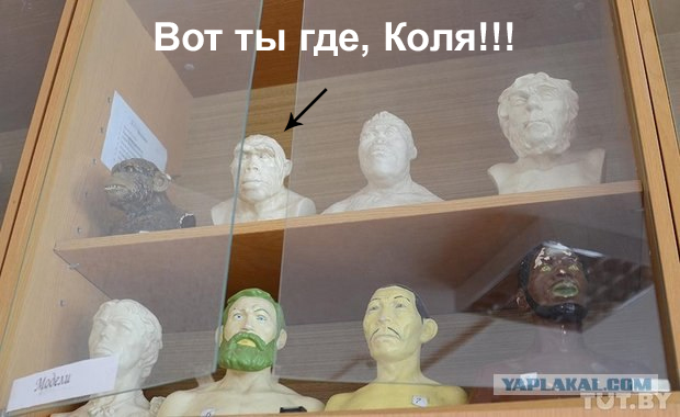 Как молодой учитель отрабатывает распределение