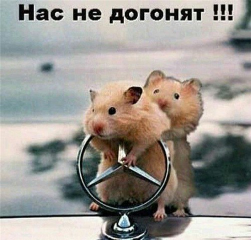 Прикольные картинки и демотиваторы