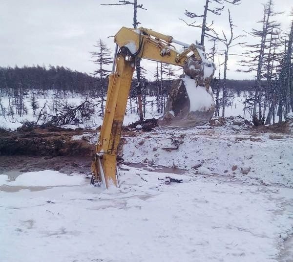 Подборка Картинок из сети
