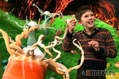 Кинокадры
