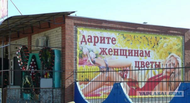 Прикольные надписи и объявления