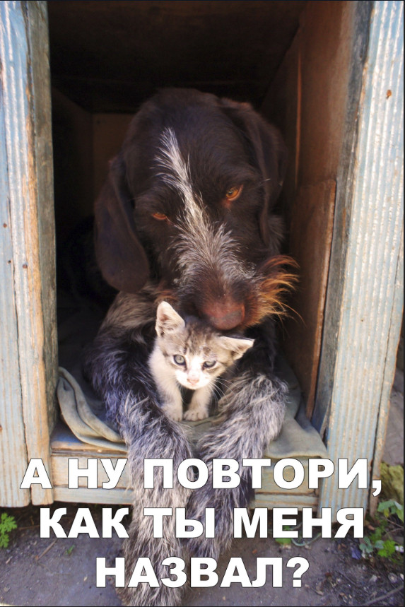 Нестандартный юмор