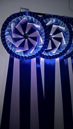 оЧумелые руки от скуки. Хобби № 1. Ribbons