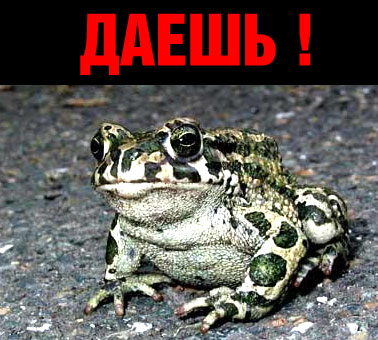 Социальная реклама ЯПа на понедельник