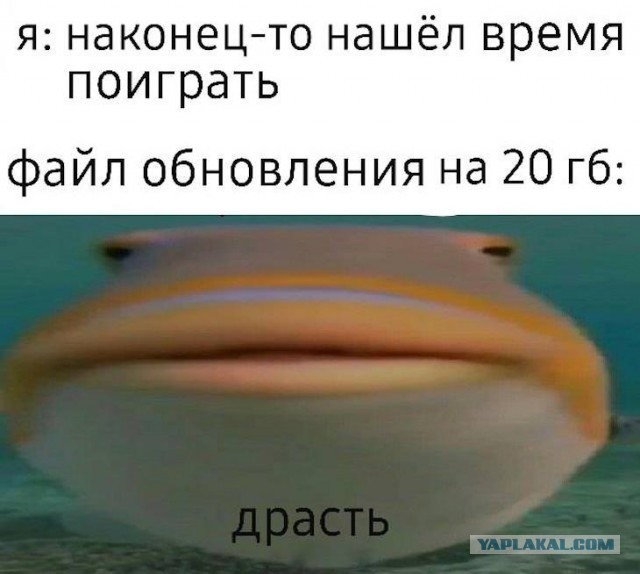 Немного картинок для настроения 26.01.20