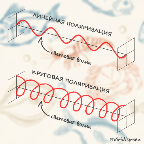 Сногсшибательная тварь на дне океана