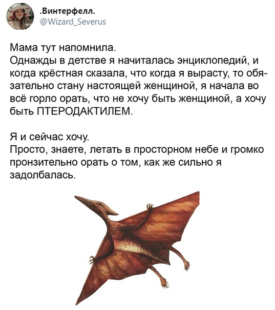 Немного картинок для настроения 07.07.20