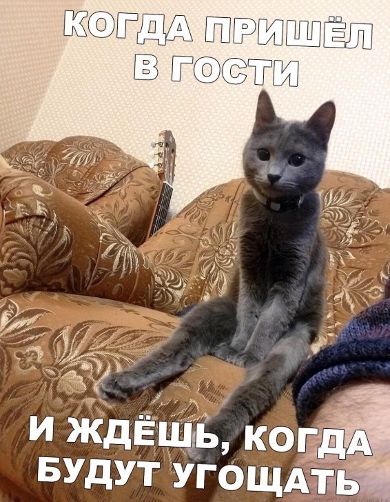 Бредзона 22.09.2020