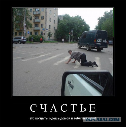 Простое человеческое счастье в картинках