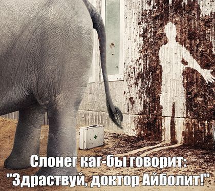 Чутка чернухи вам в пятничную ленту