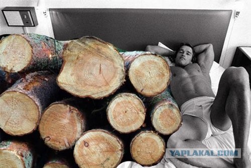 Фотожаба: Арни и бревно