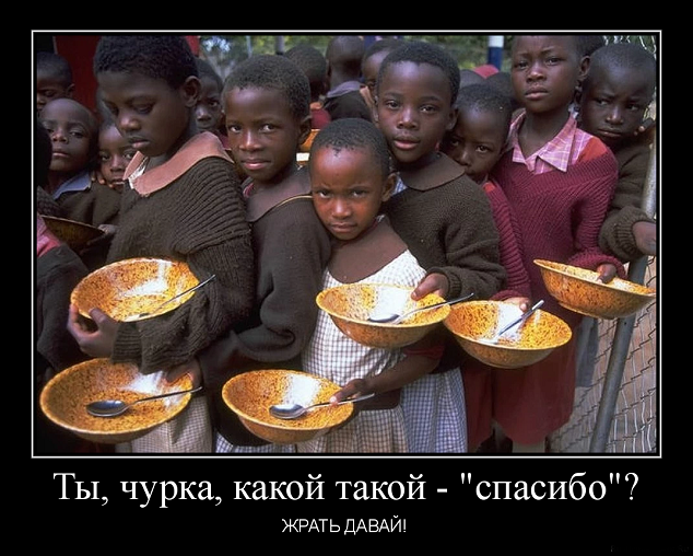 Дерзкая норка