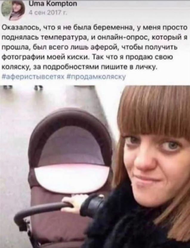 15560888.jpg