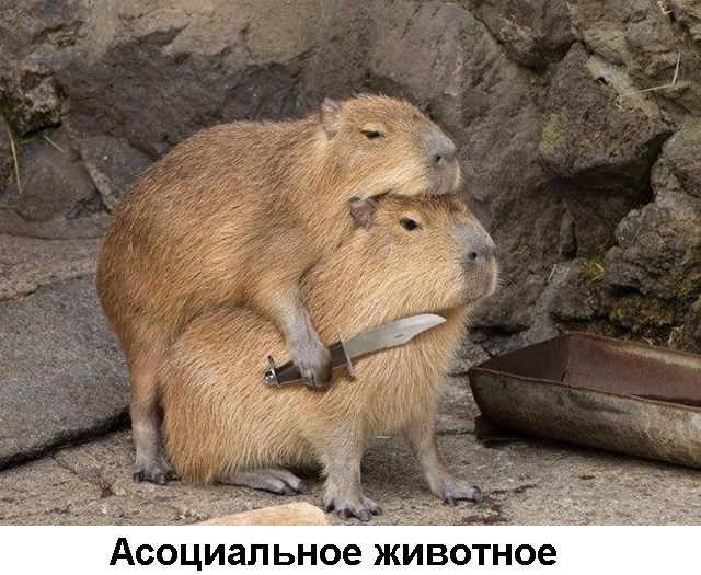 Так себе картинки 12.06.21
