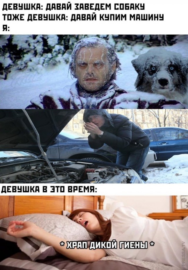 Картинки и мемы для настроения 02.11.2021