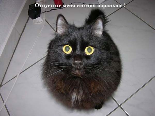 Смеха ради, здоровья для!