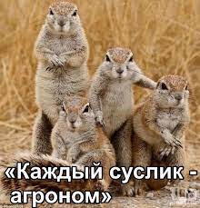 Минобороны РФ сообщило об ударах по позициям ВСУ на изюмско-балаклейском направлении