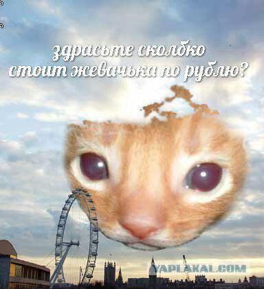 Когда мама выбивает из тебя всё дерьмо, а потом зовет ужинать
